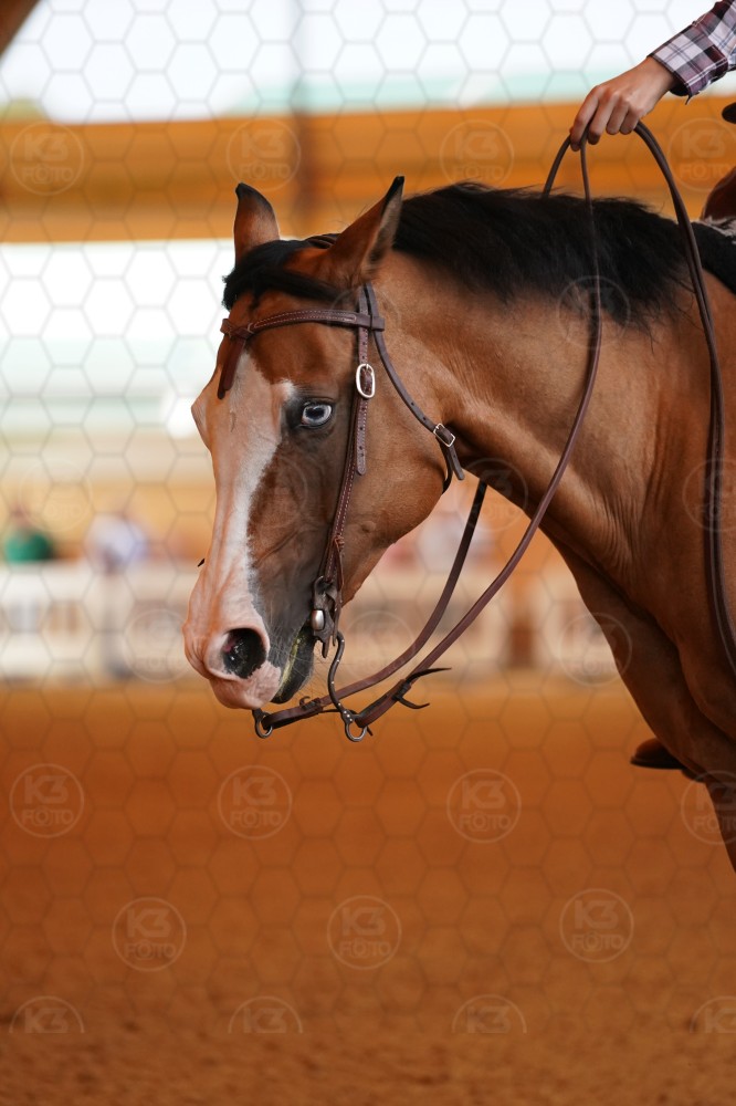 s_A_909452.JPG